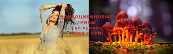 шишки Алексин