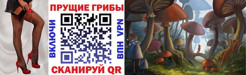 маркетплейс какой сайт  Данилов  Галлюциногенные грибы MAGIC MUSHROOMS 